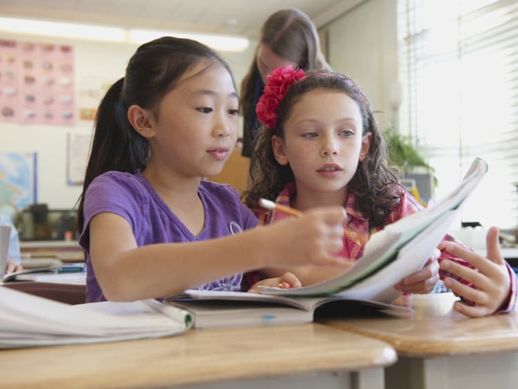 Scaffolding cognitive development online